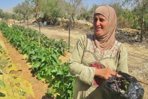 holy-land-programs-2025-main-2